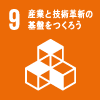 SDGs icon9