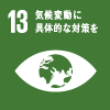 SDGs icon13